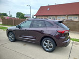 Used 2023 Ford Escape ST-Line w/ Tech Pack #1 image 5
