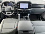Used 2024 Ford F150 XLT w/ Mobile Office Package image 3
