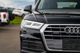 Used 2020 Audi Q5 2.0T Premium Plus image 5