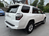 Used 2020 Toyota 4Runner SR5 Premium image 5