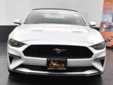 Used 2023 Ford Mustang Premium image 3