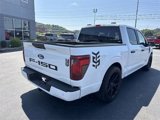 New 2025 Ford F150 STX w/ Equipment Group 200A image 5