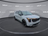 New 2025 Kia Carnival SX Prestige image 3