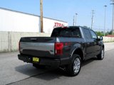 Used 2020 Ford F150 Platinum w/ Equipment Group 701A Luxury image 5