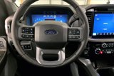 New 2025 Ford F150 XLT w/ Equipment Group 302A MID image 5