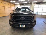 Certified 2023 Ford F150 XLT w/ Equipment Group 302A High image 2