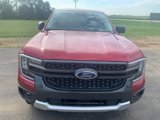 New 2025 Ford Ranger XLT w/ Technology Package image 2