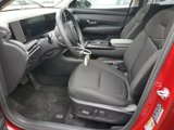 Used 2025 Hyundai Tucson Blue image 5