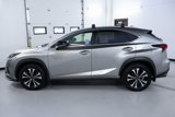 Used 2020 Lexus NX 300 F Sport w/ F Sport Premium Package image 4