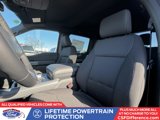 New 2025 Ford F150 XLT w/ Equipment Group 302A MID image 4