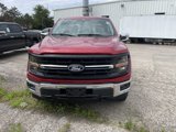 New 2025 Ford F150 XLT w/ Equipment Group 302A MID image 3