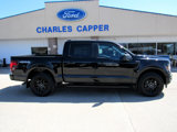 New 2025 Ford F150 STX w/ STX Black Appearance Package image 4