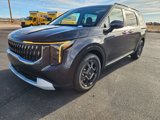 New 2025 Kia Carnival EX image 3
