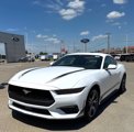 New 2025 Ford Mustang Coupe image 2
