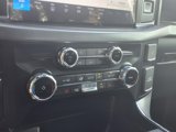New 2025 Ford F150 XLT w/ Equipment Group 302A MID image 6