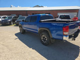 Used 2017 Toyota Tacoma TRD Off-Road w/ Tow Package (A/T) image 6