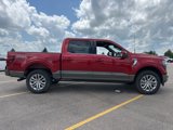 New 2025 Ford F150 King Ranch image 5