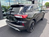 Used 2022 Ford Escape SE w/ Convenience Package image 3