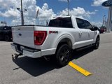 Used 2023 Ford F150 XLT w/ Equipment Group 302A High image 5