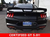 Certified 2024 Ford Mustang GT w/ Mustang Nite Pony Package image 5
