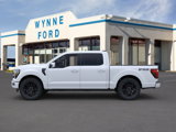 New 2025 Ford F150 Platinum image 3