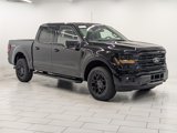 New 2025 Ford F150 XLT image 2