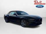 New 2025 Ford Mustang Premium image 4