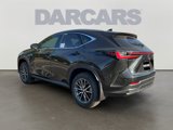 New 2026 Lexus NX 350h AWD w/ Premium Package image 5