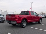 Certified 2021 Ford F150 XLT w/ Equipment Group 301A Mid image 4