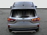 Used 2024 Ford Escape Active w/ Cold Weather Package image 3