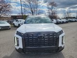 New 2025 Hyundai Palisade Calligraphy image 4