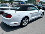 Used 2017 Ford Mustang Convertible image 6