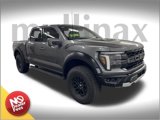 New 2025 Ford F150 Raptor image 1