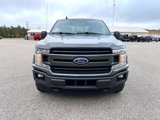 Used 2019 Ford F150 XLT w/ Equipment Group 302A Luxury image 2