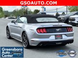 Used 2023 Ford Mustang Premium image 6
