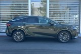 New 2025 Lexus RX 350 image 3
