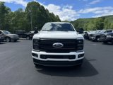 New 2025 Ford F250 Platinum image 2