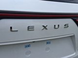 New 2025 Lexus LX 600 4WD w/ Luxury Package image 4