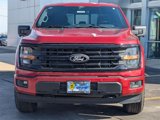 New 2025 Ford F150 XLT image 2