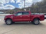 New 2025 Ford F150 Lariat w/ Equipment Group 501A Mid image 4