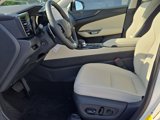 New 2025 Lexus NX 450h+ AWD w/ Luxury Package image 5