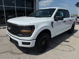 New 2025 Ford F150 STX image 3