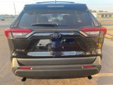 New 2025 Toyota RAV4 XLE Premium image 4