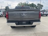 New 2025 Ford F150 XLT w/ Equipment Group 302A MID image 6