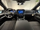 New 2025 Ford F150 XLT image 3