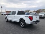 New 2025 Ford F150 XLT image 3