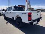 New 2025 Ford F250 XL image 5