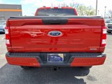 Certified 2023 Ford F150 XL w/ STX Appearance Package image 5
