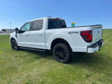 New 2025 Ford F150 XLT w/ Equipment Group 302A MID image 6