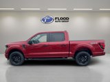 New 2025 Ford F150 STX image 5